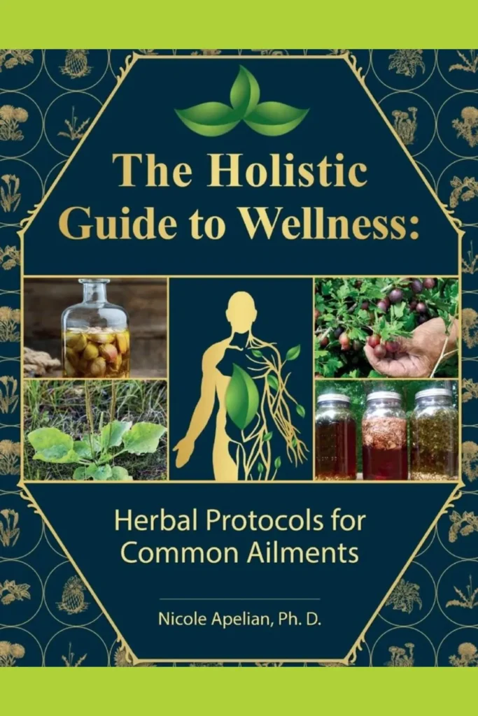 Holistic wellness approaches